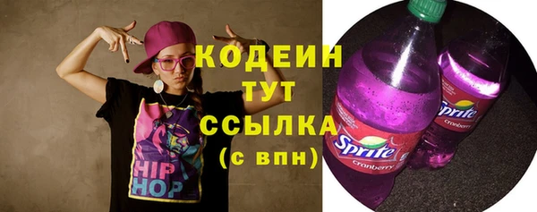 индика Балахна