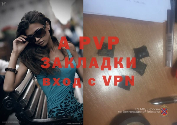 спиды Белоозёрский