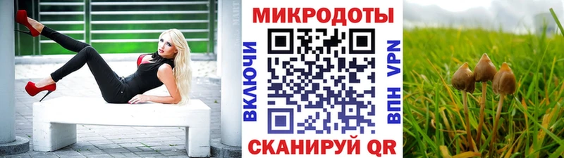 Псилоцибиновые грибы Psilocybe  Озёрск 
